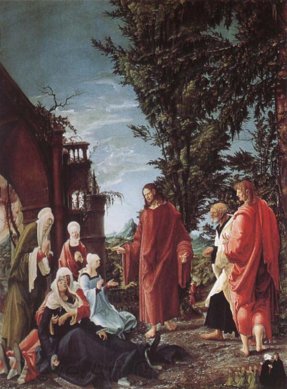 Albrecht Altdorfer Christ takes farval of their mother Norge oil painting art